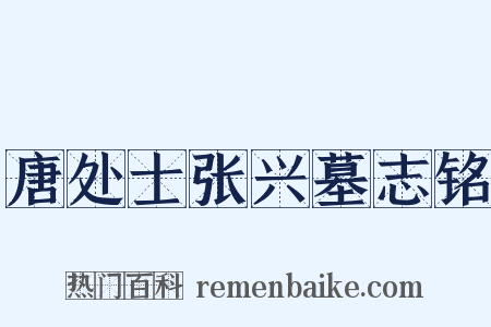 唐处士张兴墓志铭是什么意思的图片